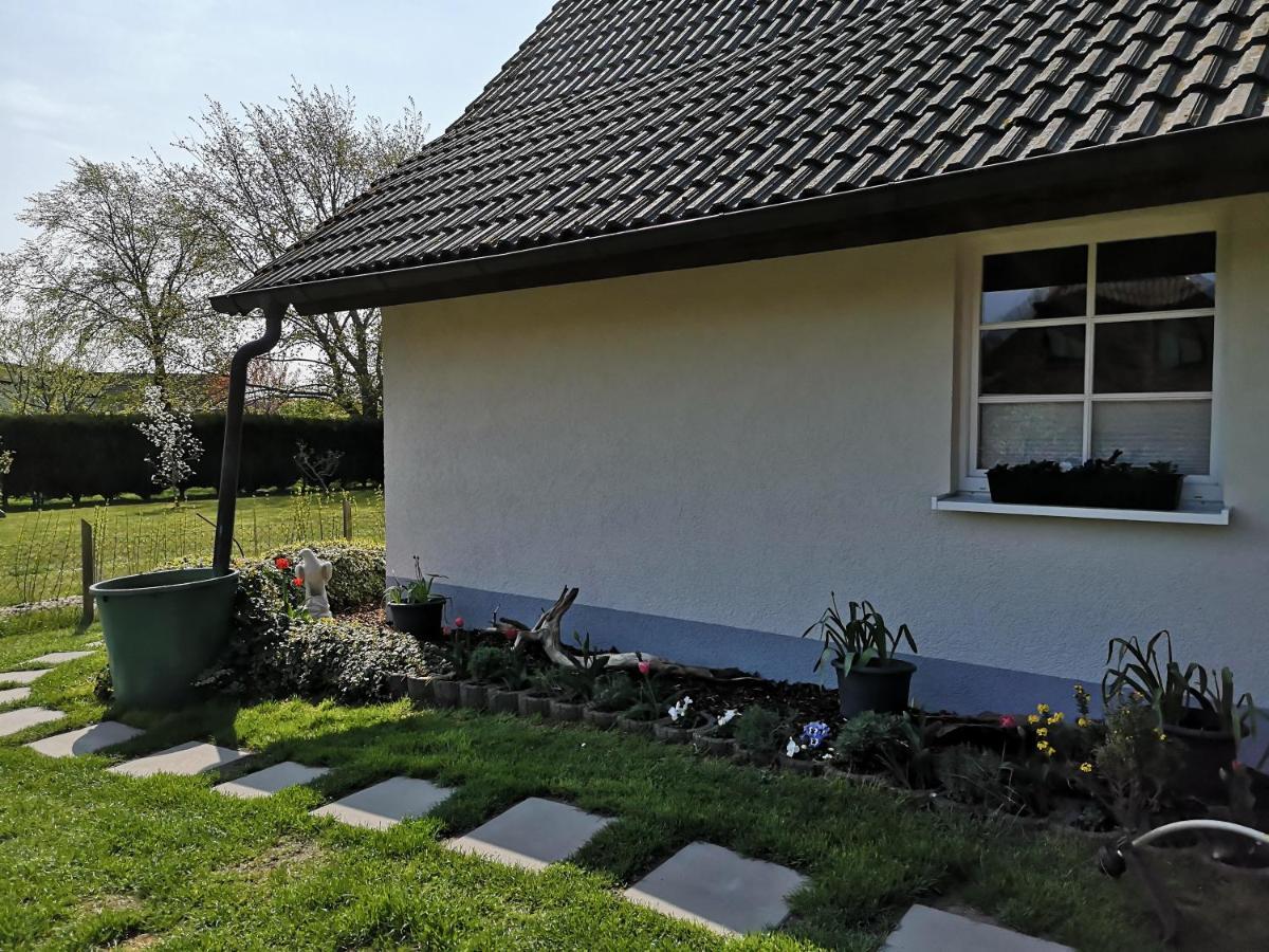Boddenhus auf Rügen - Ferienwohnungen und Pension Rappin Exterior foto