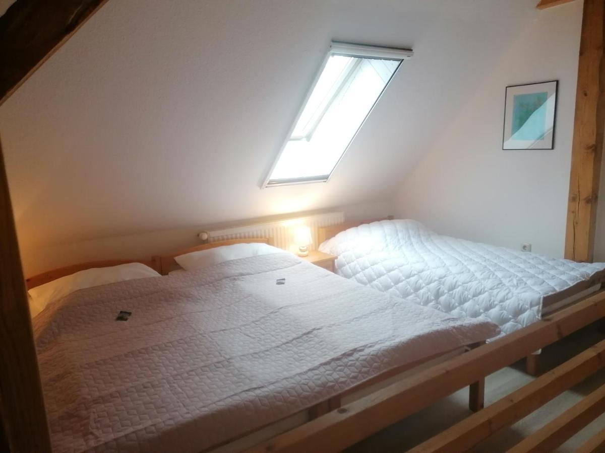 Boddenhus auf Rügen - Ferienwohnungen und Pension Rappin Exterior foto