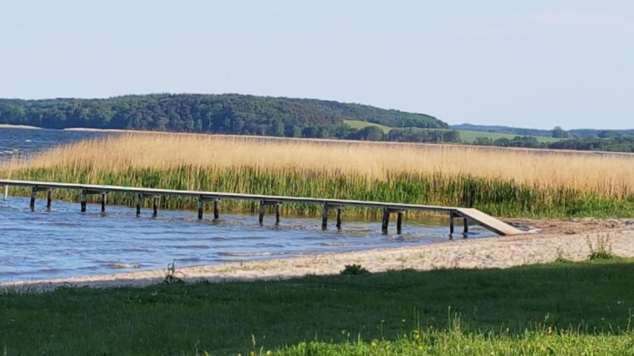 Boddenhus auf Rügen - Ferienwohnungen und Pension Rappin Exterior foto